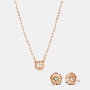 Coach Jowelry | Necklace & Earrings Set